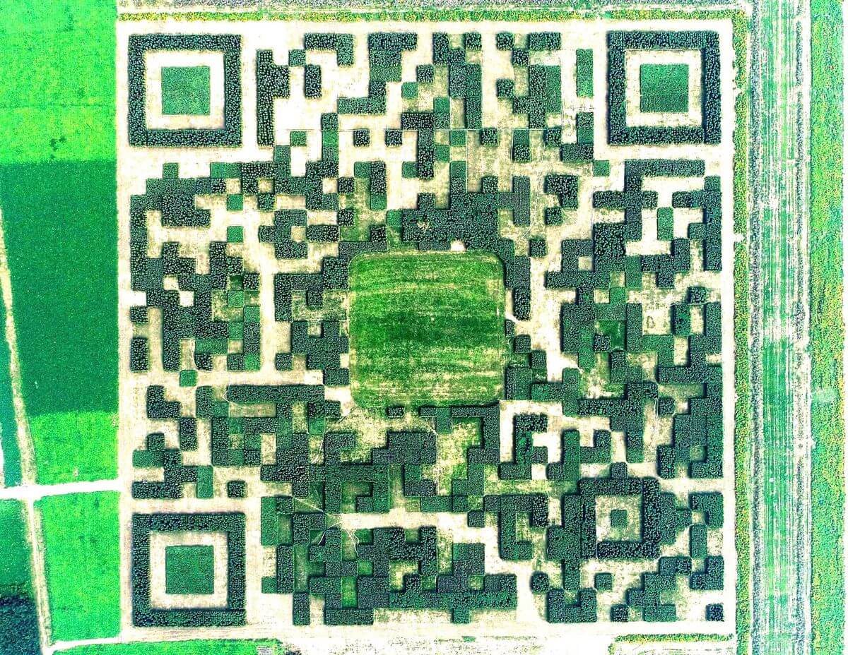 Chinese QR Code Field