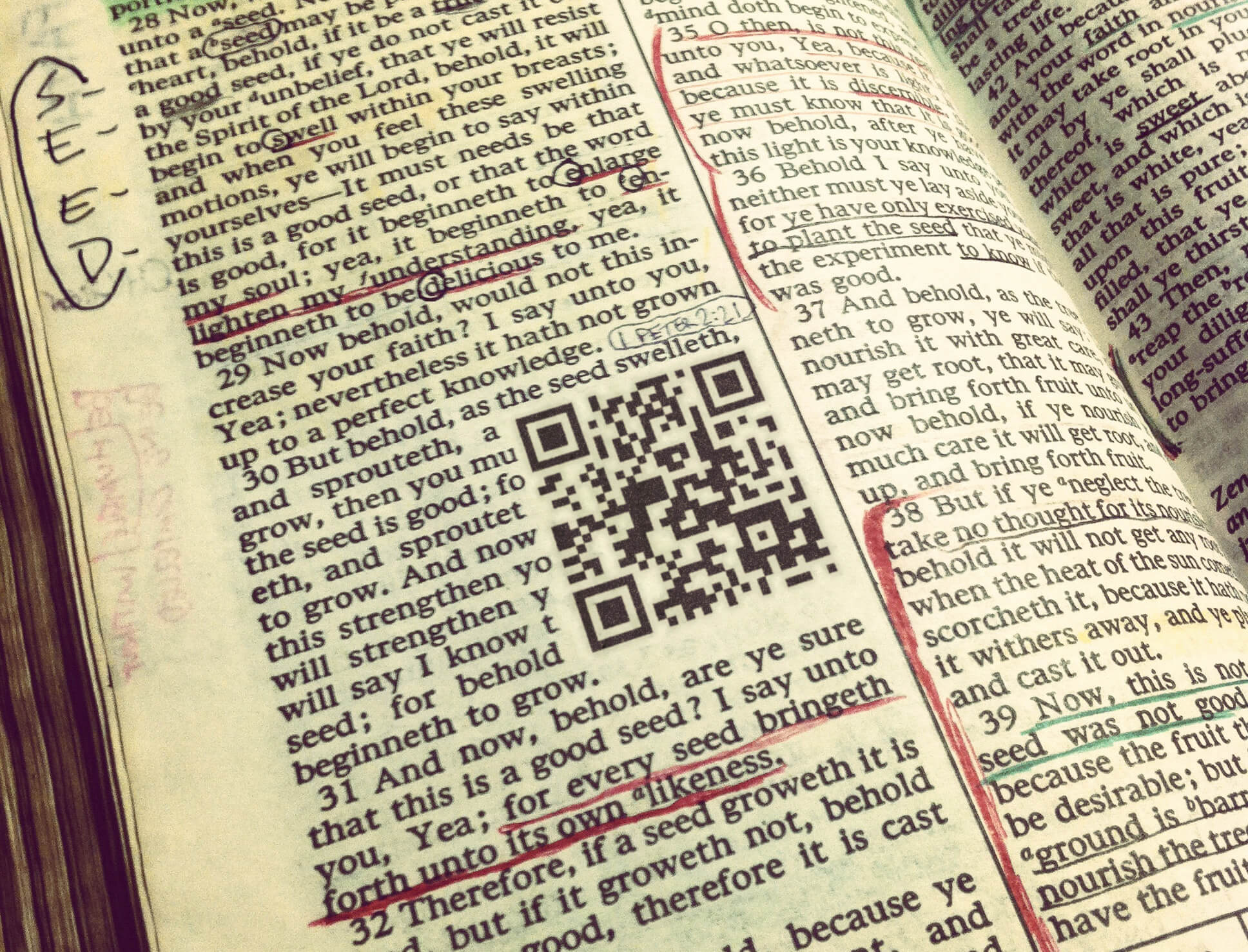 QR Codes in Books: Make your textbook interactive